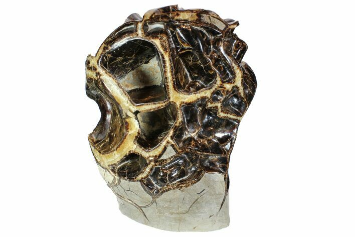 Polished Septarian Spiderweb Sculpture - Awesome Display #77909